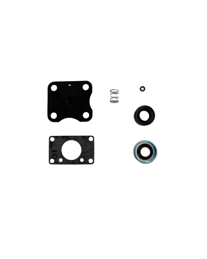 Continental Fuel Pump Seal Kit (638154-1, 2, 4, 5, 16, 17)(Airboat)